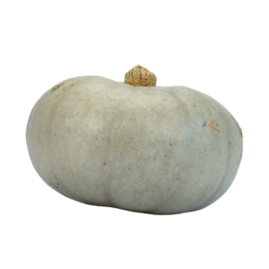 WERNER Crown Prince K&uuml;rbis 2,5kg