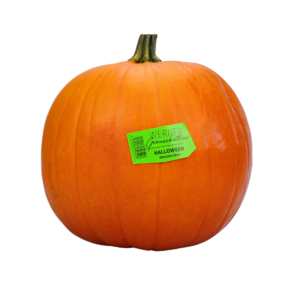 Halloween Kürbis
