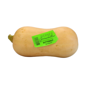 Butternut